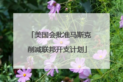 美国会批准马斯克削减联邦开支计划