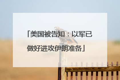美国被告知：以军已做好进攻伊朗准备