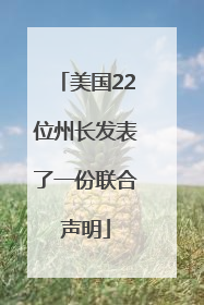 美国22位州长发表了一份联合声明