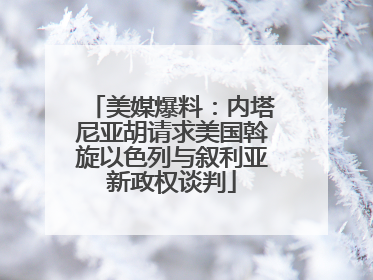 美媒爆料：内塔尼亚胡请求美国斡旋以色列与叙利亚新政权谈判