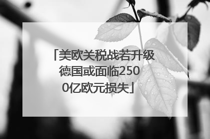 美欧关税战若升级 德国或面临2500亿欧元损失