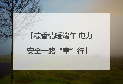 粽香情暖端午 电力安全一路“童”行