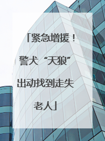 紧急增援！警犬“天狼”出动找到走失老人