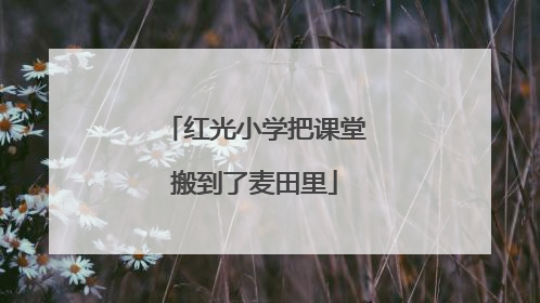 红光小学把课堂搬到了麦田里