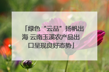 绿色“云品”扬帆出海 云南玉溪农产品出口呈现良好态势