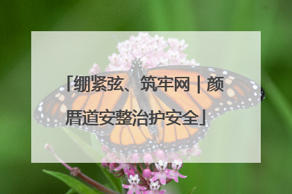 绷紧弦、筑牢网｜颜厝道安整治护安全