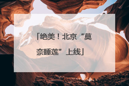 绝美！北京“莫奈睡莲”上线