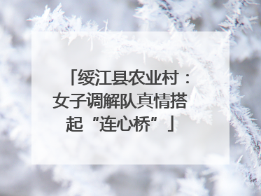 绥江县农业村：女子调解队真情搭起“连心桥”