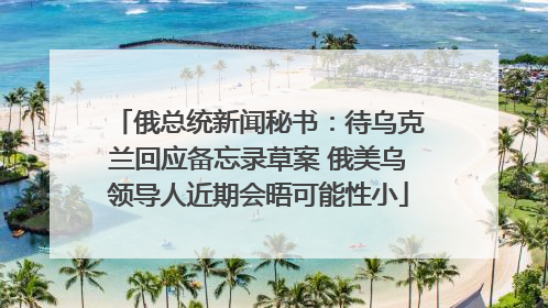 俄总统新闻秘书：待乌克兰回应备忘录草案 俄美乌领导人近期会晤可能性小