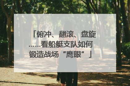 俯冲、翻滚、盘旋……看船艇支队如何锻造战场“鹰眼”