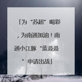 为“苏超”喝彩，为南通加油！南通小江豚“蓝叒叒”申请出战