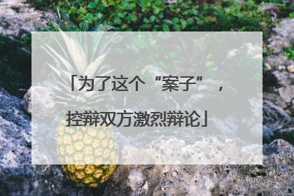 为了这个“案子”，控辩双方激烈辩论