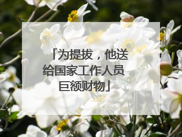 为提拔，他送给国家工作人员巨额财物