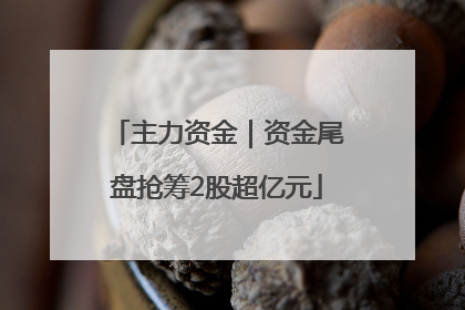 主力资金｜资金尾盘抢筹2股超亿元