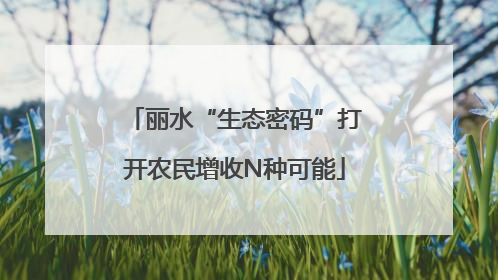 丽水“生态密码”打开农民增收N种可能