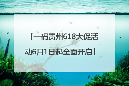 一码贵州618大促活动6月1日起全面开启