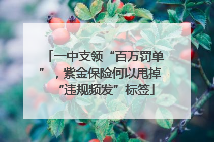 一中支领“百万罚单”，紫金保险何以甩掉“违规频发”标签