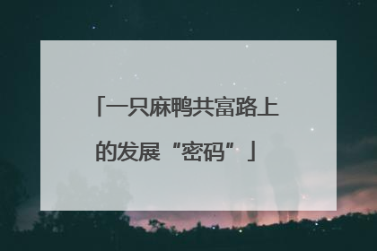 一只麻鸭共富路上的发展“密码”