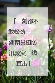 一刻都不敢松劲——湖南桑植防汛救灾一线直击