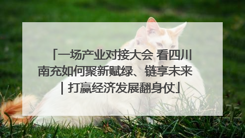 一场产业对接大会 看四川南充如何聚新赋绿、链享未来｜打赢经济发展翻身仗
