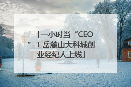 一小时当“CEO”！岳麓山大科城创业经纪人上线