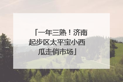 一年三熟！济南起步区太平宝小西瓜走俏市场