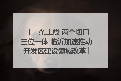一条主线 两个切口 三位一体 临沂加速推动开发区建设领域改革