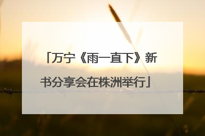 万宁《雨一直下》新书分享会在株洲举行