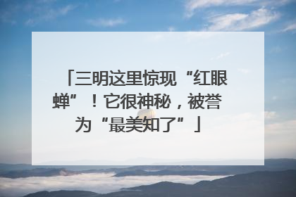 三明这里惊现“红眼蝉”！它很神秘，被誉为“最美知了”