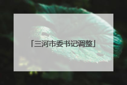 三河市委书记调整
