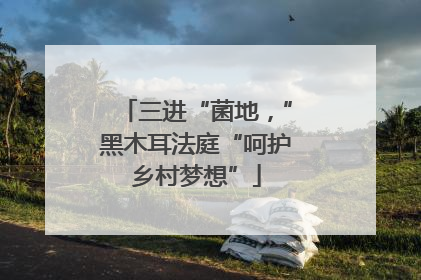 三进“菌地，”黑木耳法庭“呵护乡村梦想”