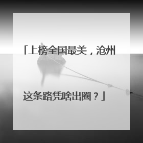 上榜全国最美，沧州这条路凭啥出圈？
