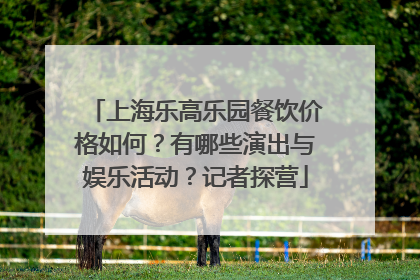 上海乐高乐园餐饮价格如何？有哪些演出与娱乐活动？记者探营