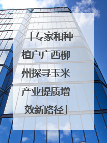 专家和种植户广西柳州探寻玉米产业提质增效新路径