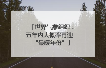 世界气象组织：五年内大概率再迎“最暖年份”