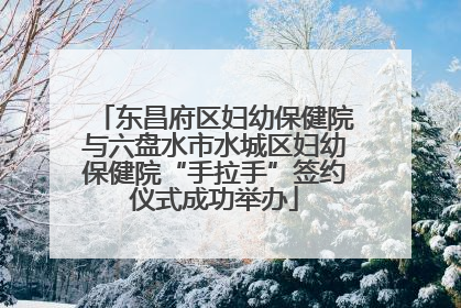 东昌府区妇幼保健院与六盘水市水城区妇幼保健院“手拉手”签约仪式成功举办