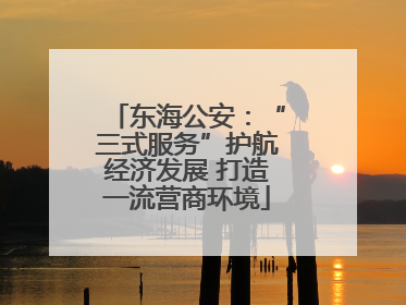 东海公安：“三式服务”护航经济发展 打造一流营商环境