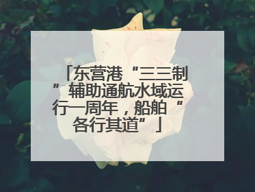 东营港“三三制”辅助通航水域运行一周年，船舶“各行其道”