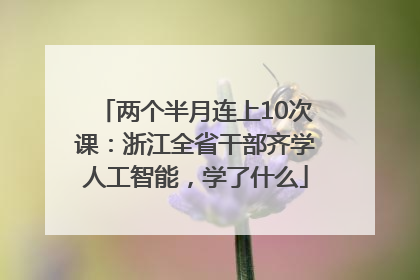 两个半月连上10次课：浙江全省干部齐学人工智能，学了什么