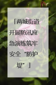 两城街道开展防汛应急演练筑牢安全“防护堤”