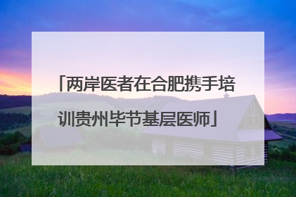 两岸医者在合肥携手培训贵州毕节基层医师