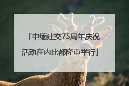 中缅建交75周年庆祝活动在内比都隆重举行
