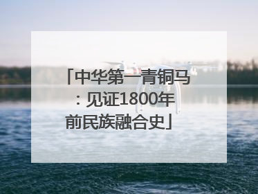 中华第一青铜马：见证1800年前民族融合史