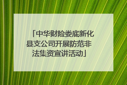 中华财险娄底新化县支公司开展防范非法集资宣讲活动