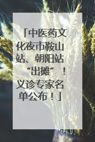 中医药文化夜市鞍山站、朝阳站“出摊”！义诊专家名单公布！