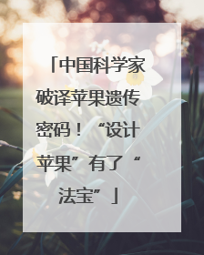 中国科学家破译苹果遗传密码！“设计苹果”有了“法宝”