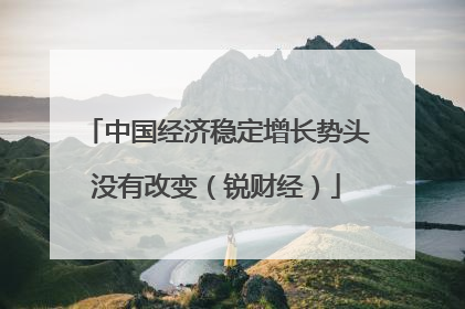 中国经济稳定增长势头没有改变（锐财经）