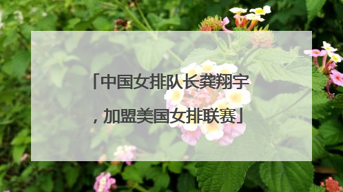 中国女排队长龚翔宇，加盟美国女排联赛