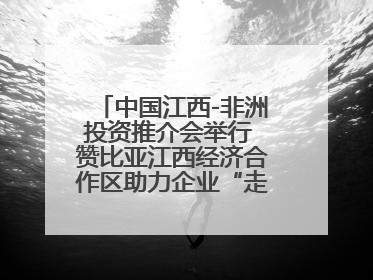 中国江西-非洲投资推介会举行 赞比亚江西经济合作区助力企业“走出去”