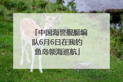 中国海警舰艇编队6月6日在我钓鱼岛领海巡航